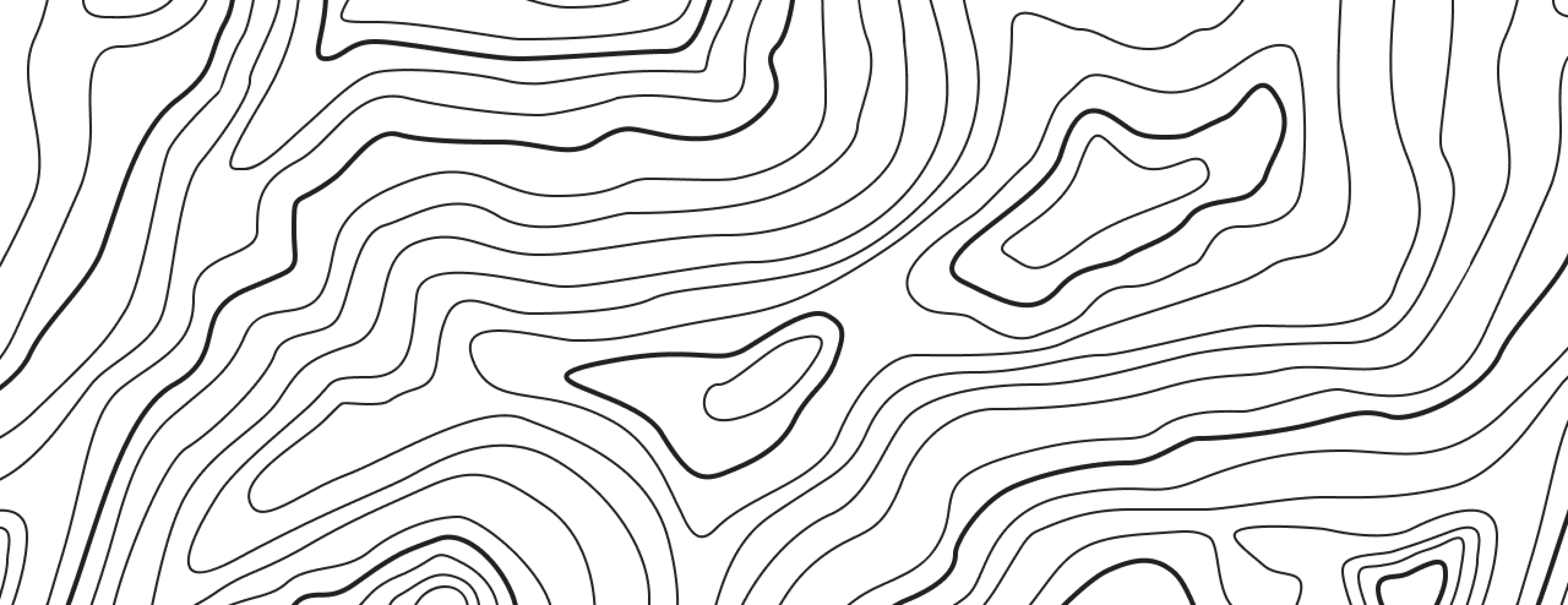 Zonal Web About
